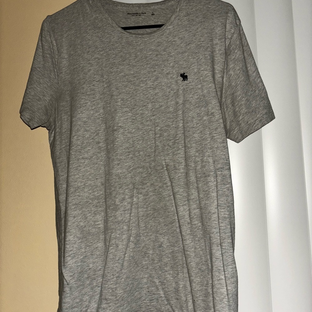 Abercrombie and Fitch T-Shirt